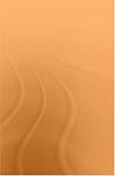 The Zhou Yi: A New Translation with Commentary of the Book of Changes (Durham East Asia Studies)