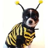 Bumble Bee Halloween Dog Costume Size S Small