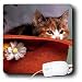 All Products : Cats - Love You Cat In The Hat - Mouse Pads