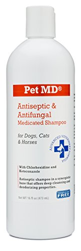 chlorhexidine shampoo for humans