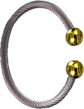Qi(chi) Ionic/ Biomagnetic Bracelet Two Tone L