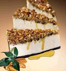 Turtle 6 - Gourmet Cheesecake by Boba Tea Direct