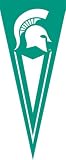 Michigan State New Wall Pennant Flag Banner NCAA