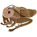 Plush Cricket with Sound 7"