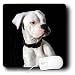 boxer4 - Dogs Boxer White Boxer Uncropped Ears Mouse Pads
