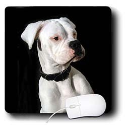 image link -  - B000EFEWM8