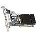 Electronics : XFX PVT44AWANG GeForce 6200 256MB GDDR2 AGP 4X/8X Video Card (VGA/DVI/S-Video)