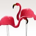 Pink Flamingo Yard Ornament