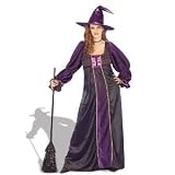 Hocus Pocus Witch Adult Costume Size X-Large