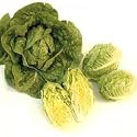 Lettuce Tintin