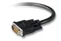 Belkin  Dvi Flat Panel Rplcmt Cable Dvim/m Dig 18+5 Sglnk - 10ft