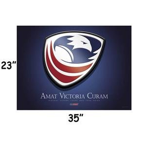 USA Eagles Victory Print