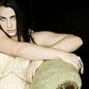 Image of Evanescence
