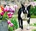 terrier9 - Boston Terriers 2010 Deluxe Wall Calendar