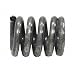 Bosal 251-932 Spring
