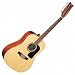 Washburn D10S12 Acoustic 12-string Guitar - Natural - with Case