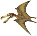 Pterosaurs