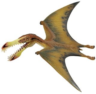Pterosaurs