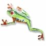 Red-Eyed Tree Frog Sterling Silver and Enamel Pin