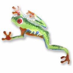 31R5ViOrn2L Clearly Charming Red Eyed Tree Frog Sterling Silver and Enamel Pin Review