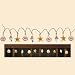 Seashell Beach Patio Light String - Surfer Tiki Decor!