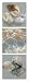 Natural Highlights - Irene Miller Art Print Poster 12 x 36