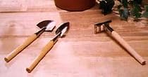 Mini Garden Tools - 3 Piece Set - Transplanter, Trowel and Rake