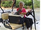 Snoozer Lookout Pet Golf Cart Seat : Optional Travel Pack NO TRAVEL PACK : Size SMALL
