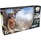 PNY Verto GeForce 6 6200 PCI - Graphics adapter - GF 6200 - PCI - 256 MB DDR2 - Digital Visual Interface (DVI) - TV out - retail