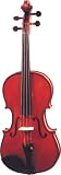 Josef Lazar Model 14 Viola Outfit, 14 Inches