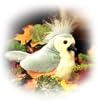 Tufted Titmouse - Audubon Plush Bird (Authentic Bird Sound)