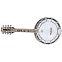 8 String Banjo Mandolin