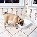 Pet Supplies : Petsafe LifeStyle 5 Meal Automatic Feeder