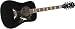 Epiphone Dove Acoustic Guitar, Ebony Chrome Hardware