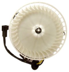 TYC 700069 Dodge/Plymouth/Chrysler Replacement Front Blower Assembly
