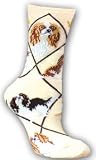 King Charles Cavalier Cotton Dog Puppy Breed Animal Socks 9-11 from Back To Nature Gifts