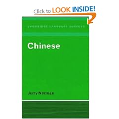 Chinese (Cambridge Language Surveys)
