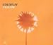 Musik (Pop) : Yellow [UK-Import] [Vinyl Single]