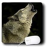 Wild animals - Timber Wolf - Mouse Pads
