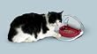 Step'n Dine, Napf mit Pedal (Futterautomat), f�r Katzen