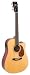 Recording King Classic Series II Dreadnought Acoustic Guitar, Solid Mahogany Back & Sides, Cutaway with Fishman Pickup