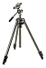 Photo : Velbon Sherpa 600RF 3-Section Tripod with 3-Way Pan Head
