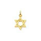 Search : 14 Karat Gold Small Star of David Charm