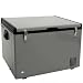 Whynter FM-65G 65-Quart Portable Refrigerator/Freezer, Platinum