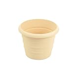 Akro-Mils MSA08000A15 Marina Planter, Champagne White, 8-Inch