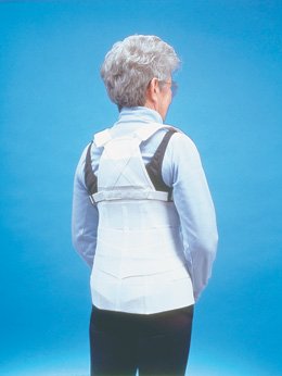 Lumbar And Thoracic Support