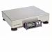 Mettler Toledo Ps60 150 Lbs ABS Platter Scale