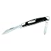 Sporting Goods : Buck 309 Companion Folding Pocket Knife