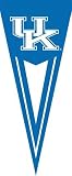 NCAA Kentucky Wildcats Yard Pennant