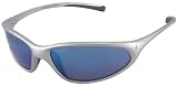 Nike Skylon.R Sunglasses, EV0053-002, Silver Ice Frame/ Gray Lenses/ Blue Flash